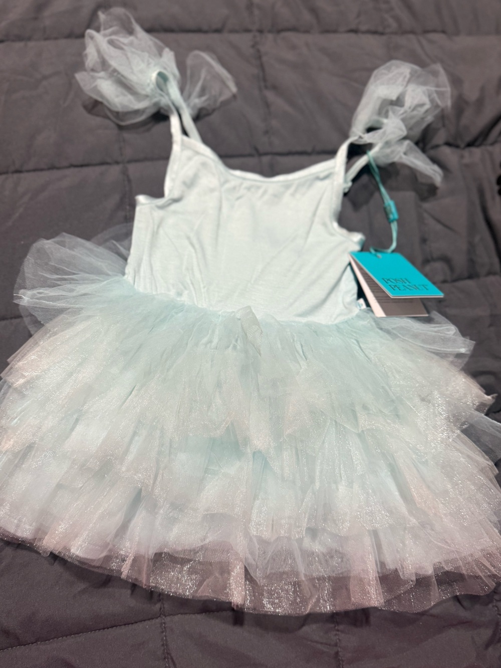 Posh Peanut Light Blue Tulle Tutu Dress